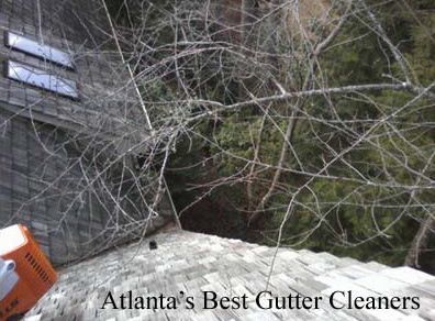 Alpharetta's Best Gutter Cleaners Before and After Tree Pruning