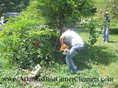 Alpharetta's Best Gutter Cleaners does tree pruning of limbs coming in range of the gutters.
